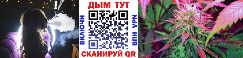 Как найти наркотики Новошахтинск Cocaine  Alpha PVP  Амфетамин  Конопля 