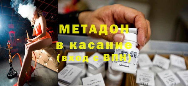 индика Инта
