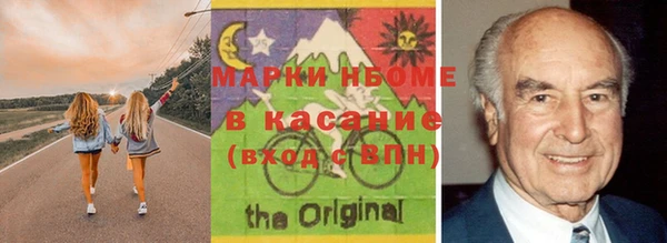 индика Инта