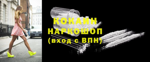 молекула духа Каменногорск
