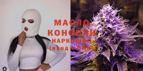 молекула духа Каменногорск