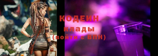 индика Инта