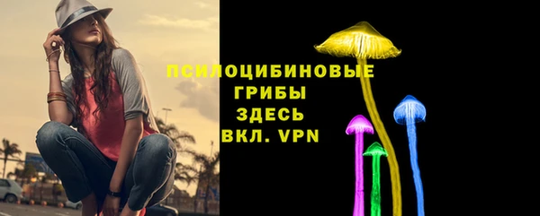 сатива Касимов
