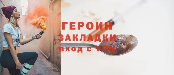 индика Инта