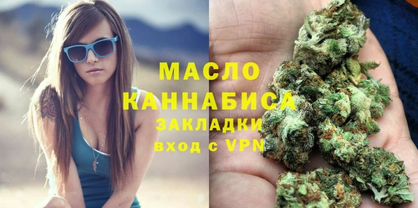 индика Инта