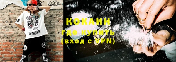 ПСИЛОЦИБИНОВЫЕ ГРИБЫ Иннополис