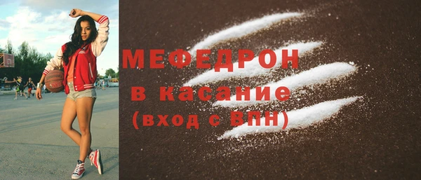 индика Инта