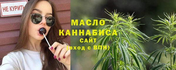 индика Инта