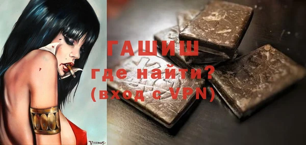 индика Инта