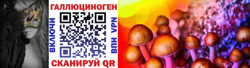Галлюциногенные грибы Psilocybe  наркошоп  Новошахтинск 